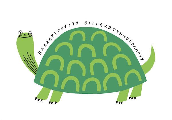 Card-Turtle