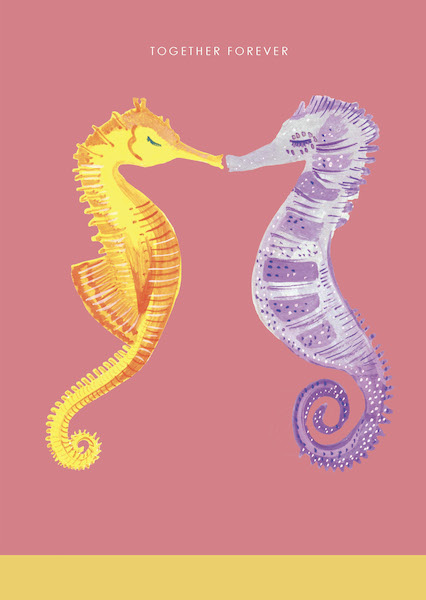 Card-Seahorses