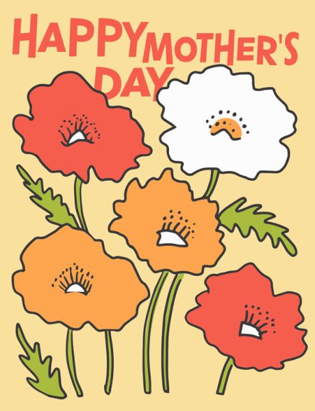 Card-Colourful Poppies