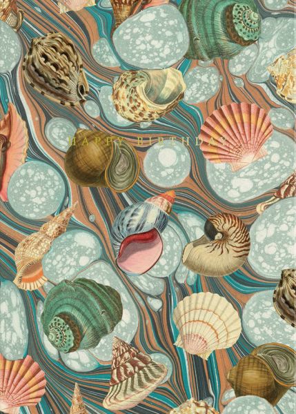 Foil Card-Shell Collection