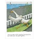 Card-Jogging