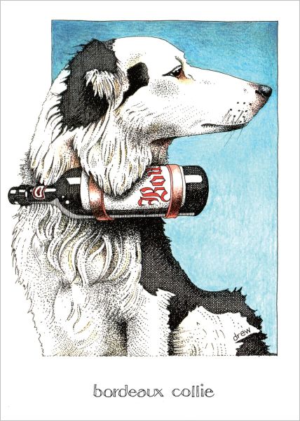 Card-Bordeaux Collie