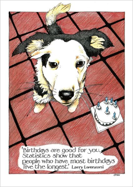 Card-Statistics