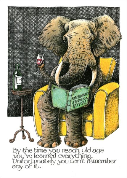 Card-Elephant