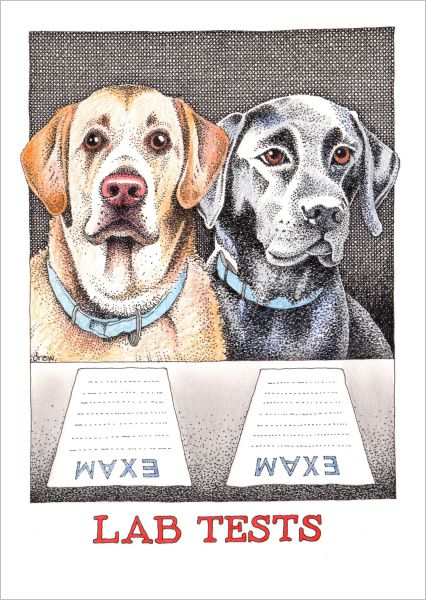 Card-Lab Tests