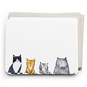 Flat Note Boxed Set-Cat's Meow