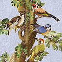 Foil Card-Birdworld