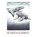 Card-Humpback Bridge