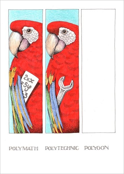 Card-Polygon