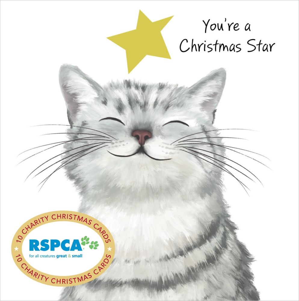 Christmas Card Wallet-RSPCA-Christmas Star
