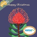 Christmas Card Wallet-RSPCA-Christmas Flowers