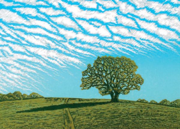 Card-Mackerel Sky