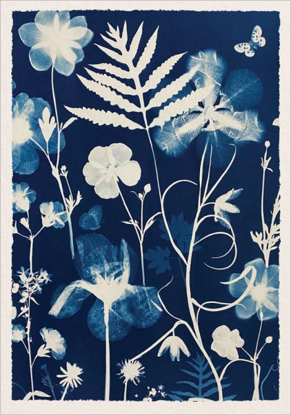 Foil Card-Poppies and Anenomes