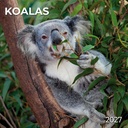 Tushita 30x30 Cal-Koalas