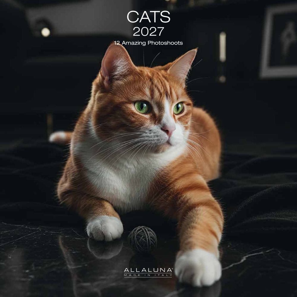 Allaluna 30x30 Cal-Cats