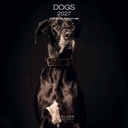 Allaluna 30x30 Cal-Dogs