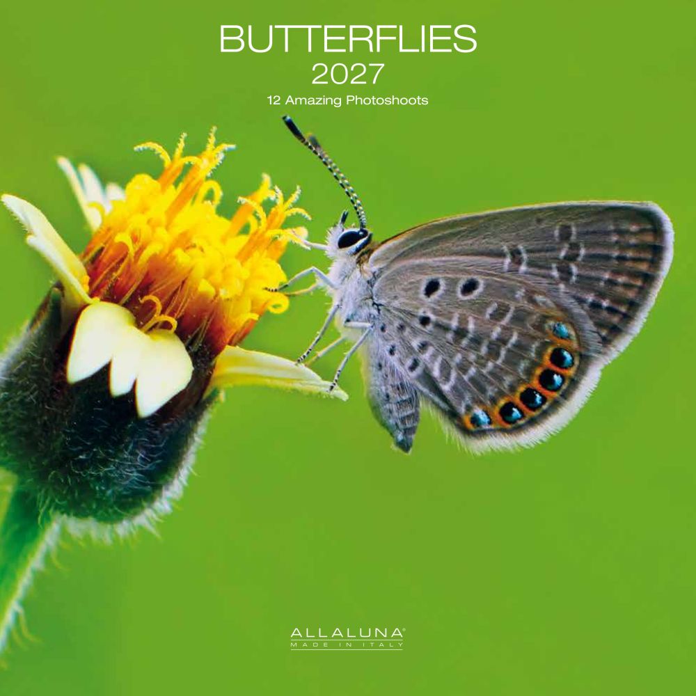 Allaluna 30x30 Cal-Butterflies