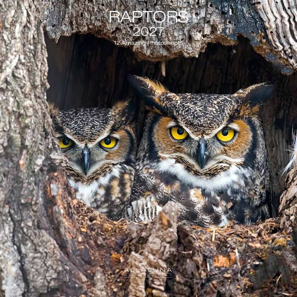 Allaluna 30x30 Cal-Raptors