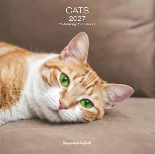 Allaluna 18x18 Cal-Cats