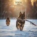 Allaluna 18x18 Cal-Dogs