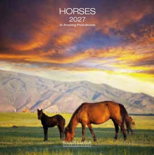 Allaluna 18x18 Cal-Horses