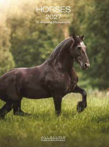 Allaluna 15x20 Desk Cal-Horses