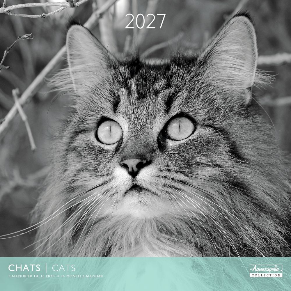 Aquarupella 30x30 Cal-Cats Black & White