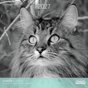 Aquarupella 30x30 Cal-Cats Black & White