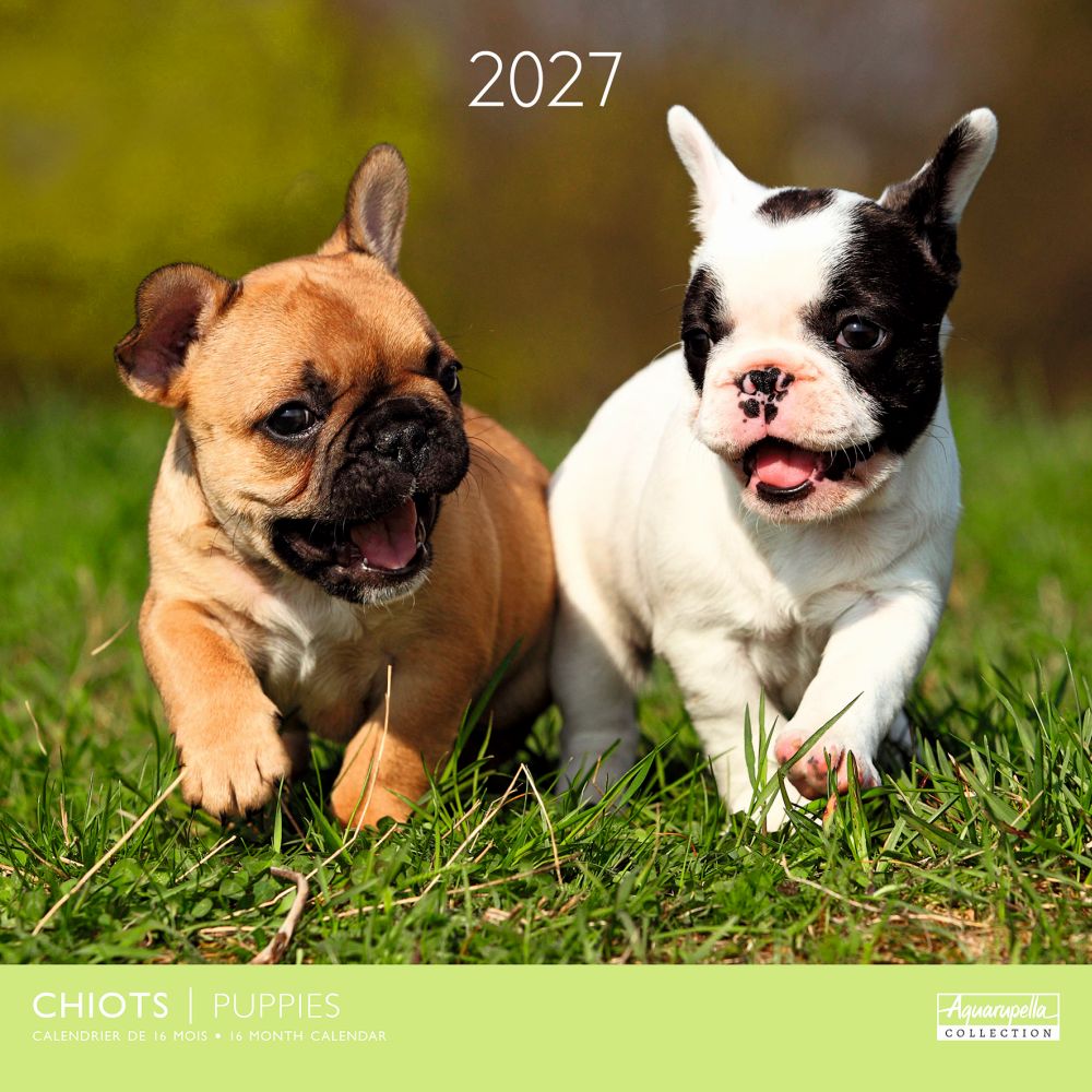 Aquarupella 30x30 Cal-Puppies