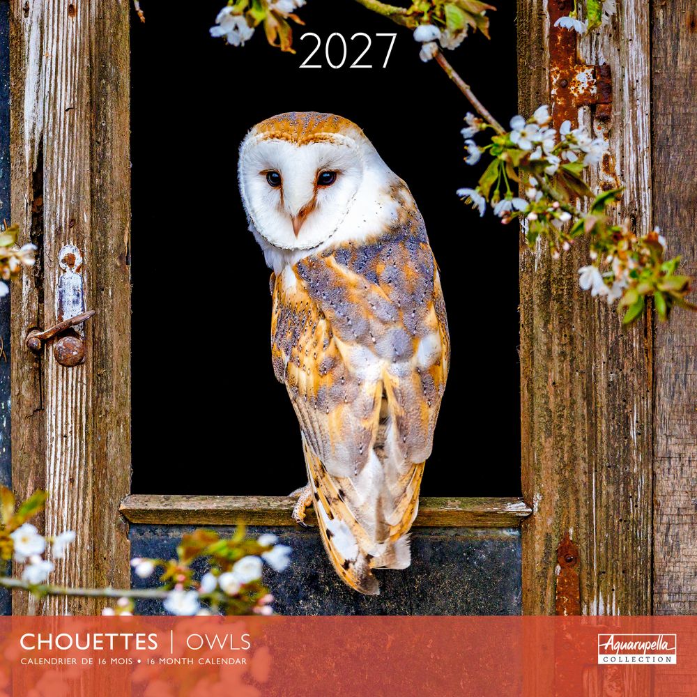 Aquarupella 30x30 Cal-Owls