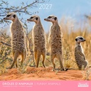 Aquarupella 30x30 Cal-Funny animals