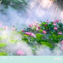 Aquarupella 30x30 Cal-Zen Spirit