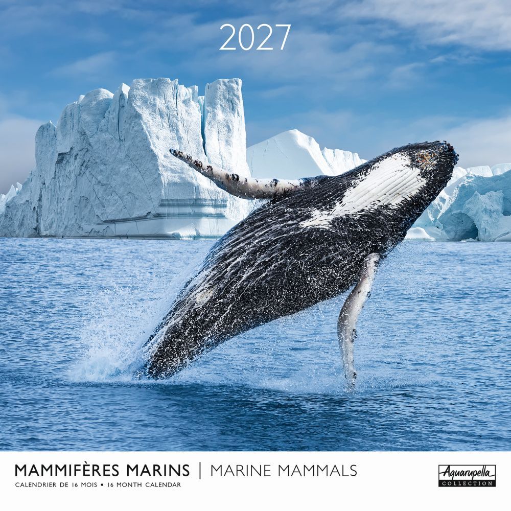 Aquarupella 30x30 Cal-Marine Mammals