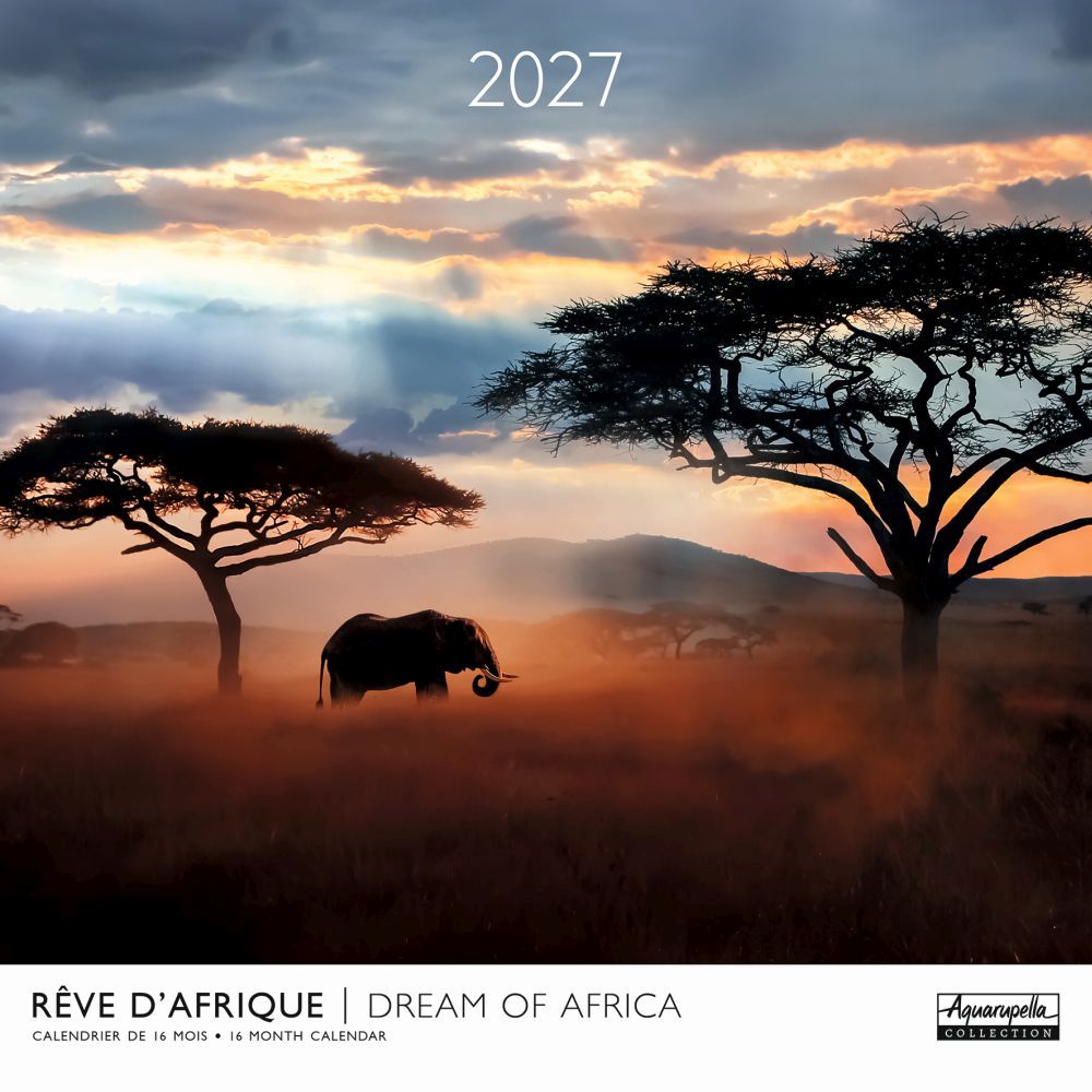 Aquarupella 30x30 Cal-Dream of Africa