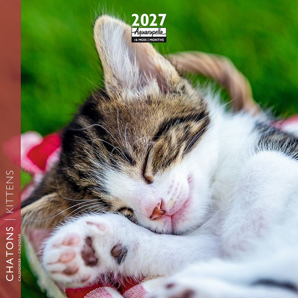 Aquarupella 16x16 Cal-Kittens