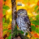 Aquarupella 16x16 Cal-Owls