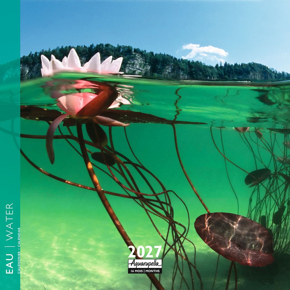 Aquarupella 16x16 Cal-Water