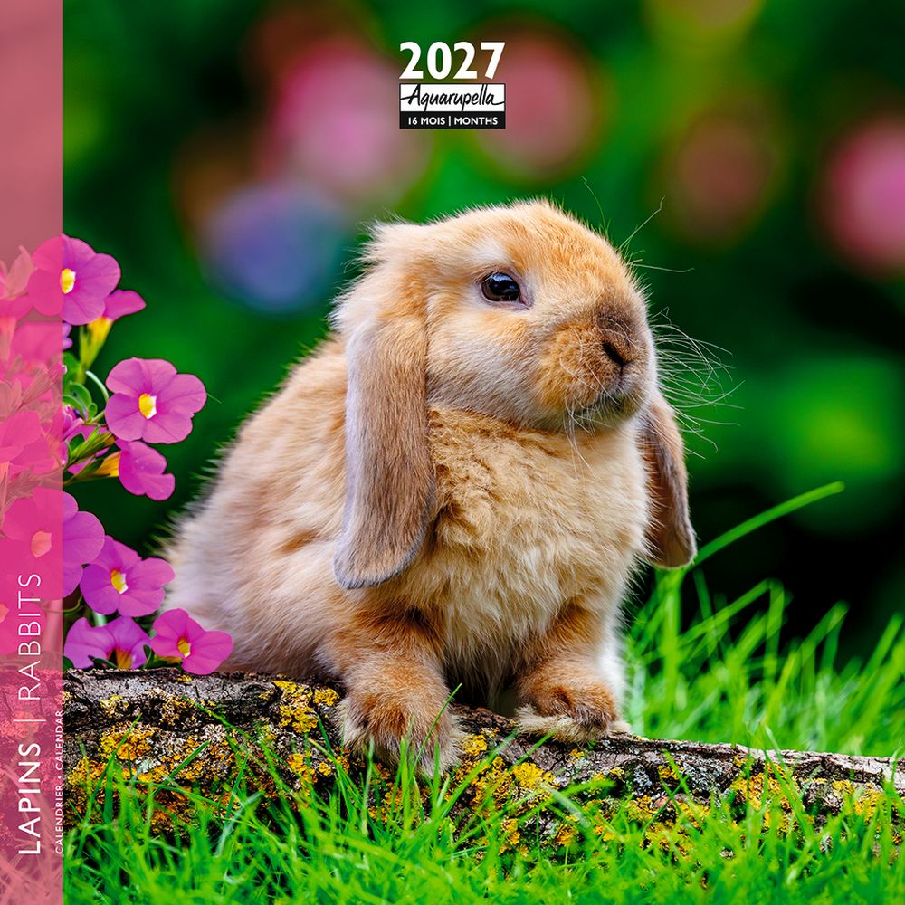 Aquarupella 16x16 Cal-Rabbits