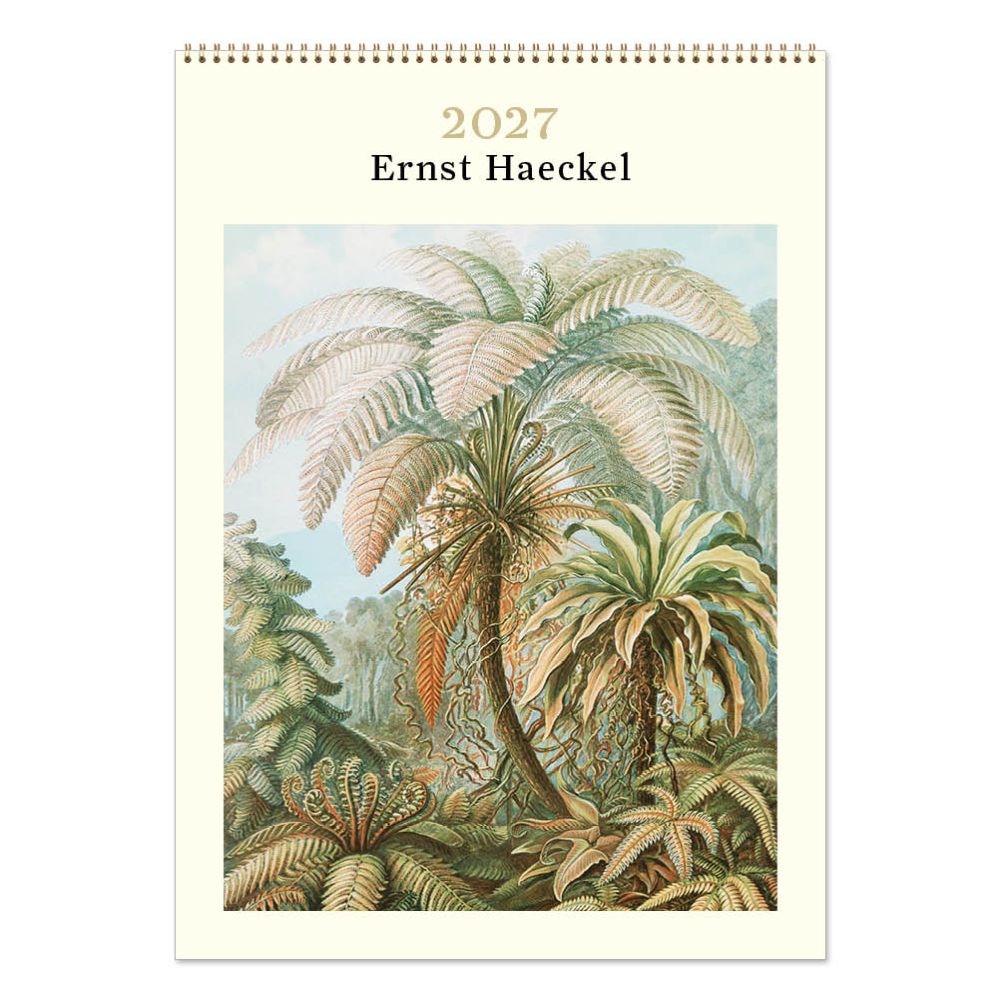 Vevoke Medium Calendar-Haeckel