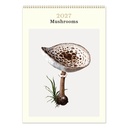 Vevoke Medium Calendar-Mushrooms