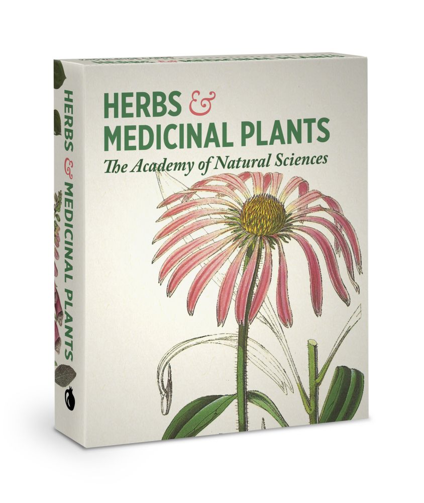 Knowledge Cards-Herbs and Medicinal Plants