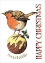 Card-Round Robin