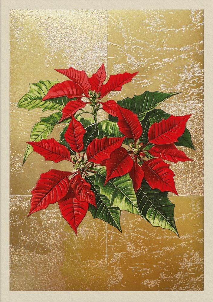 Foil Card-Poinsettia