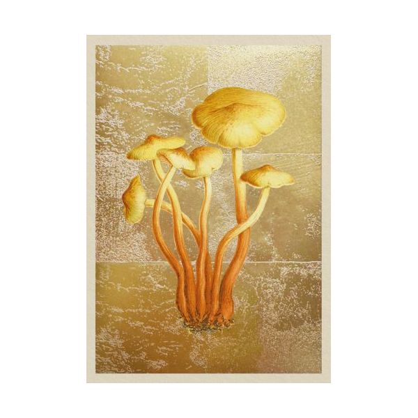 Mini Card-Fungi