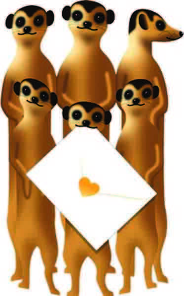 3D Card-Meerkats