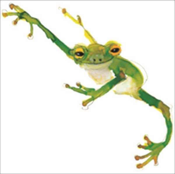 Card-Frog