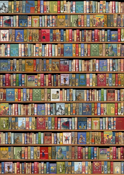 Wrap-Bookshelf