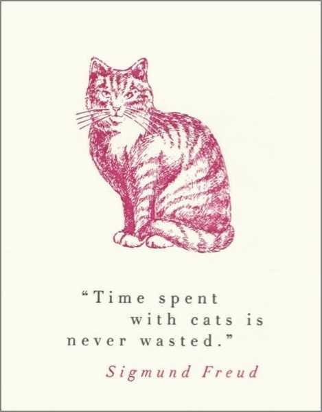 Card-Time With Cats