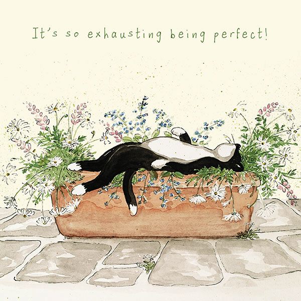 Card-Being Perfect