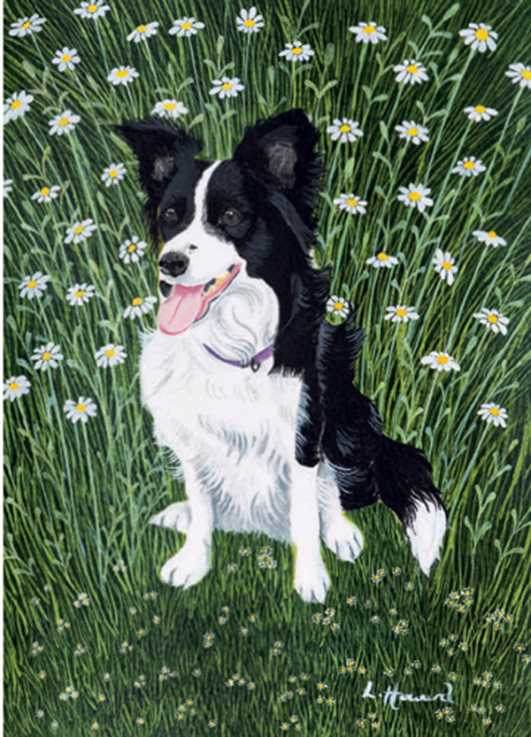 Card-Daisy In The Daisies